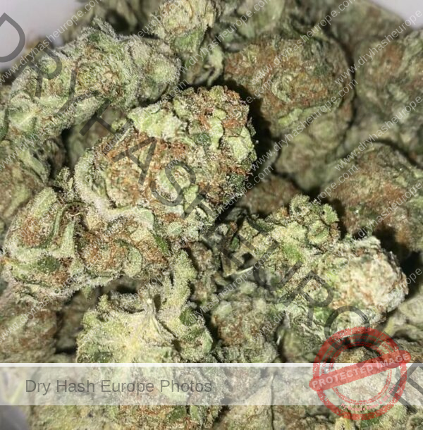 Super Haze