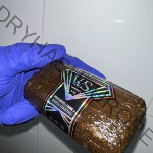 VVS Tanger 2025 best